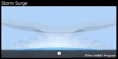 3D visualization of storm surge.