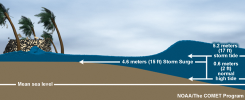 Mean sea level, storm surge, and storm tide.