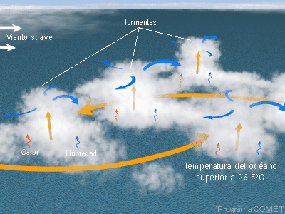 El nacimiento de un ciclón tropical