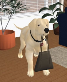 Hugo sosteniendo un bolso en el hocico.