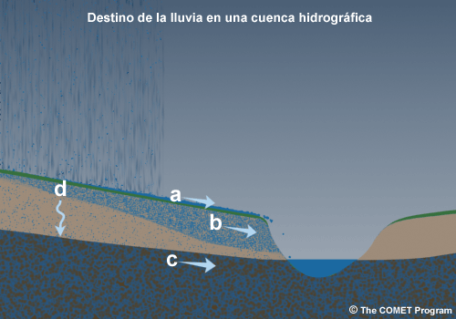 Destino de la lluvia en una cuenca