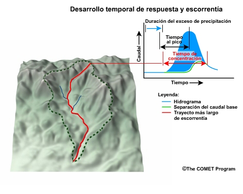 Desarrollo temporal de respuesta y escorrentía