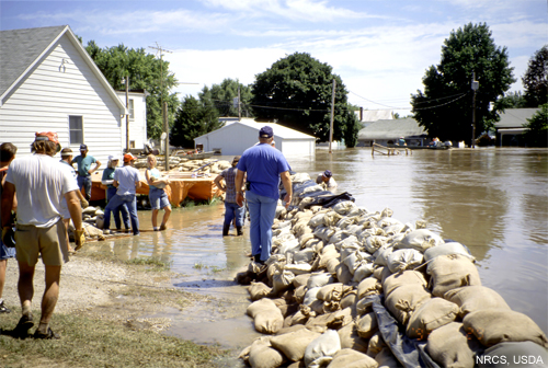 people building sandbag dike during flood