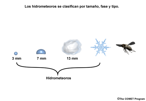 Los hidrometeoros difieren en cuanto a su tamaño, fase y tipo.