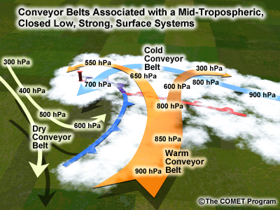 conceptual diagram of conveyor belts within a midlatitude cyclone