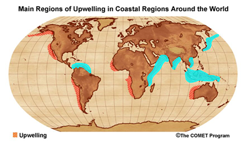 Main regions of upwelling in coastal regions around the world