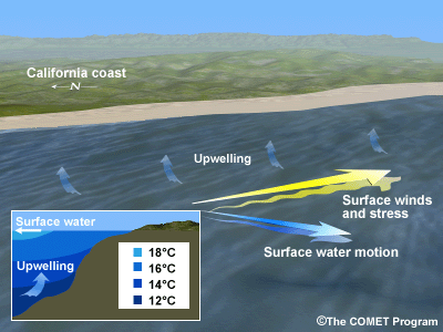 Schematic showing the relationship between surface wind, surface water movement, and upwelling