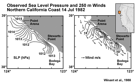 Sea Level Pressure (hPa) and Winds (m/s), CA coast, near Point Arena, showing correlation of high wind with low SLP