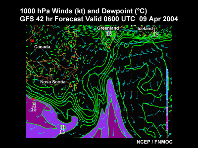 plan view model products useful in fog forecasting