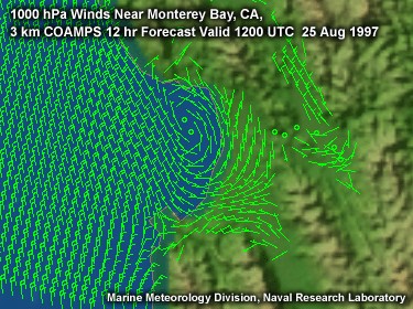 flash animation of coamps model1000 mb winds over coastal California