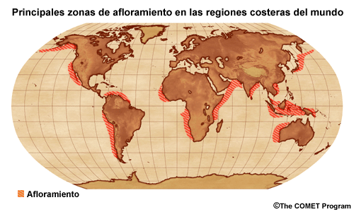 Principales regiones de afloramiento del mundo