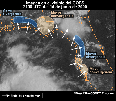 Imagen del GOES-8 en el visible que muestra regiones de convergencia y divergencia en Florida