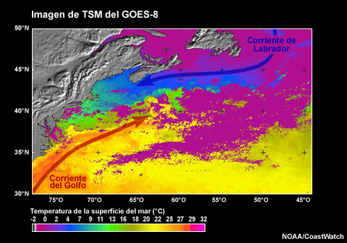 Patrones de TSM, corrientes de Labrador y del Golfo