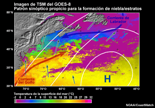 Patrón de TSM y corrientes en el NW del Atlántico
