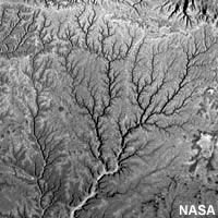 Imagen satelital del patrón dendrítico de una cuenca de drenaje en el sur de Yemen, África.