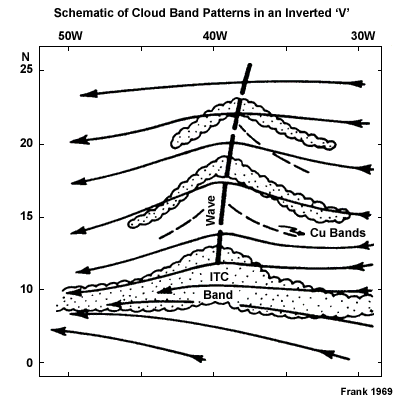Schematic representation of tropical waves