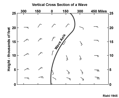 Vertical cross section of a tropical wave