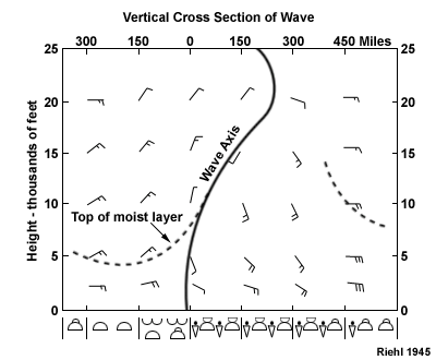 Vertical cross section of a tropical wave