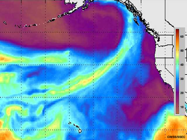 Animación de vapor de agua integrado para ejercicio de comparación