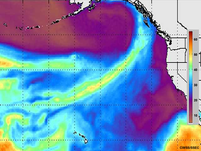 Animación de vapor de agua integrado para ejercicio de comparación