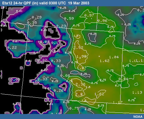 Eta12 24-hr QPF 3 hour forecast valid 0300 UTC 19 Mar 2003