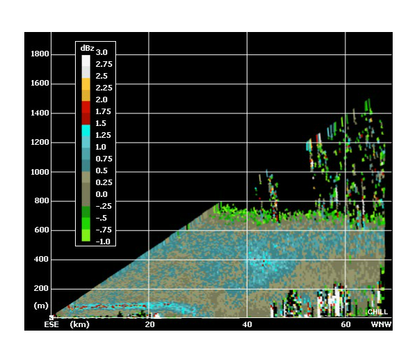 Differential Reflectivity