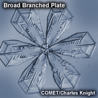 Image of a broad branched plate ice crystal