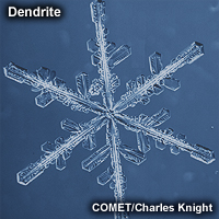 Image of dendrite