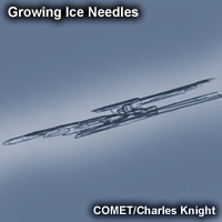 Image of growing ice needles