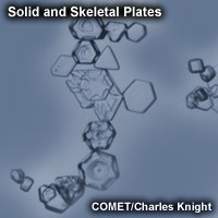 Image of solid and skeletal plate ice crystals