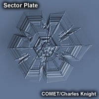 Image of a sector plate ice crystal