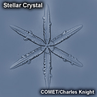 Image of a stellar star ice crystal