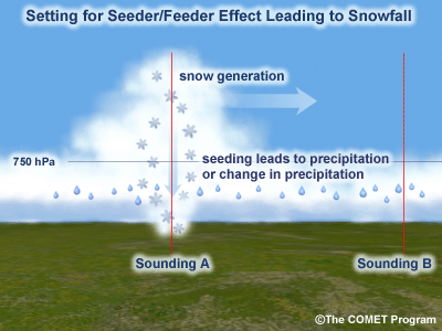 Conceptual diagram of a seeder/feeder setting.
