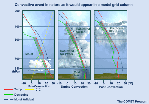 Convective event in nature as it would appear  in a model grid box