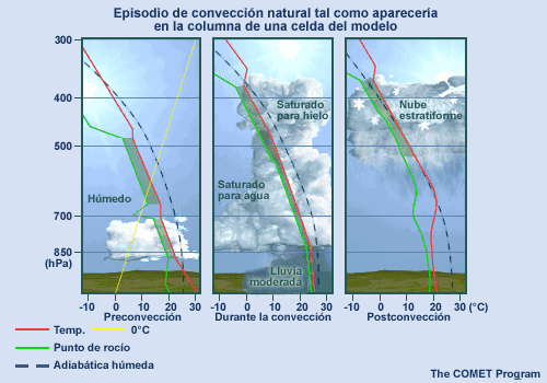Episodio de convección natural tal como aparecería en la columna de una celda del modelo