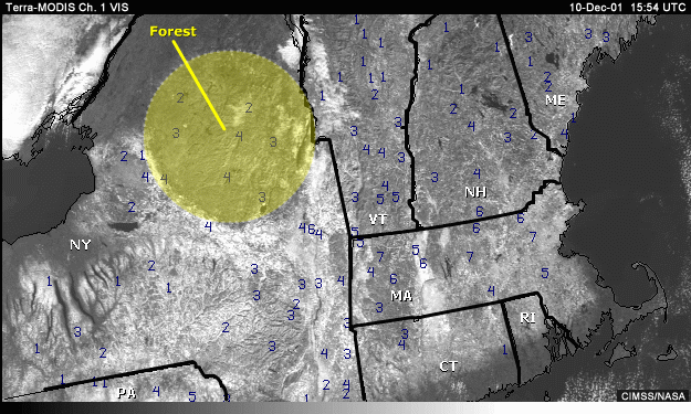 Vis image over New England with annotations showing areas of forest