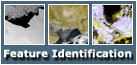 Return to the home page for Feature Identification Using Environmental Satellites