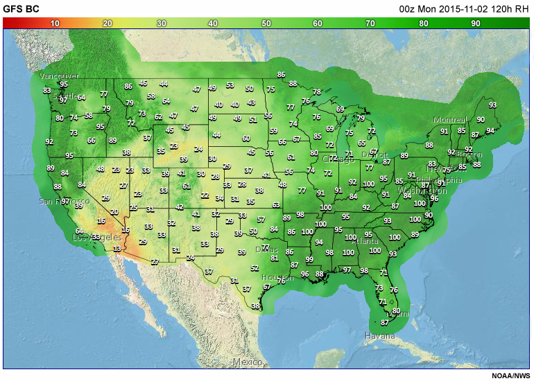 Example of a bias-corrected GFS relative humidity forecast.