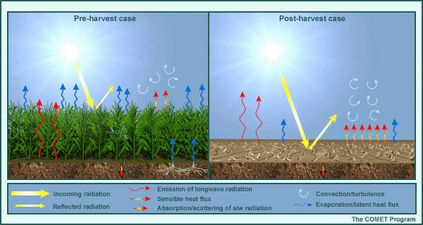Example of impact of vegetation fraction (pre harvest vs. post harvest)