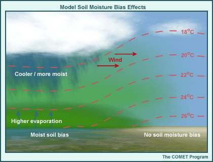 Model soil moisture bias effects