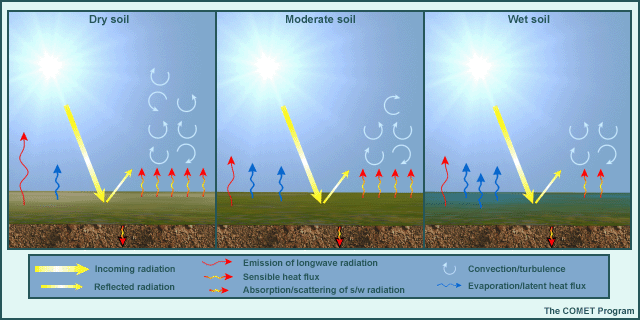 Effect of soil moisture (dry vs. moderate vs. wet soil)