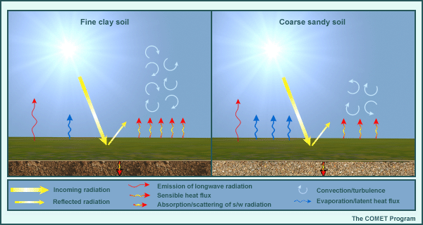 Effects of the soil types (fine clay vs. coarse sandy soil)