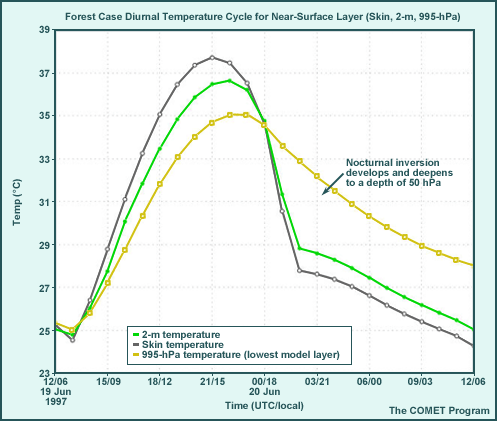Forest Case Case Diurnal Temperature Cycle for Near-Surface Layer (Skin, 2-m, 995-hPa)