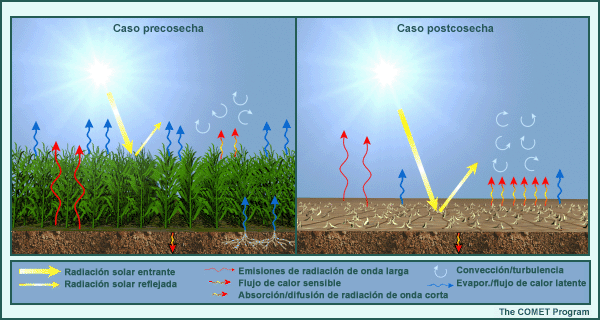 Ejemplo del impacto de la fracción de verdor (pre- y poscosecha)