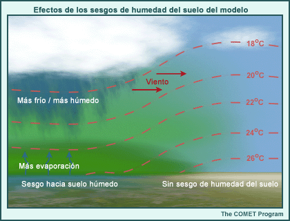 Efectos de los sesgos de humedad del suelo del modelo