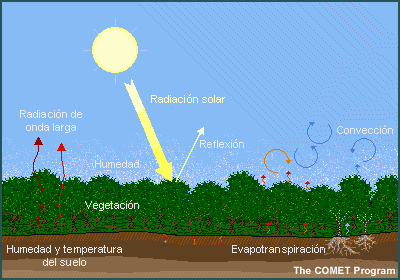 Ciclo
