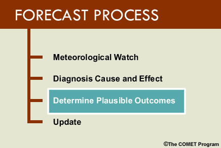 Graphic with the four steps in the forecast process: First is Meteorological Watch; second is Diagnosis of Cause and Effect; third is Determine Plausible Outcomes; last is Update.