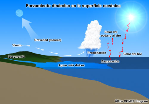 Representación conceptual en corte de los procesos de forzamiento dinámico