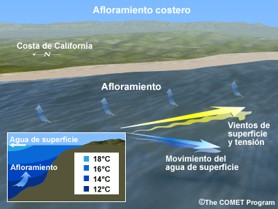Representación esquemática de la relación entre viento superficial, movimiento del agua superficial y afloramiento