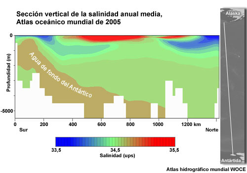 Sección vertical norte-sur de la salinidad en el Pacífico que muestra el agua de fondo del Antártico
